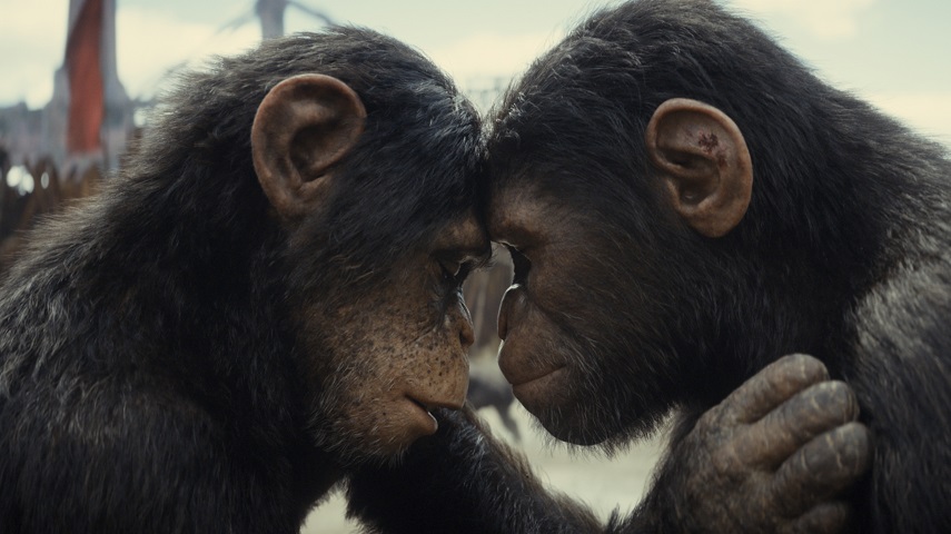 Soona (played by Lydia Peckham) and Noa (played by Owen Teague) in 20th Century Studios' KINGDOM OF THE PLANET OF THE APES. Photo courtesy of 20th Century Studios. © 2023 20th Century Studios. All Rights Reserved.