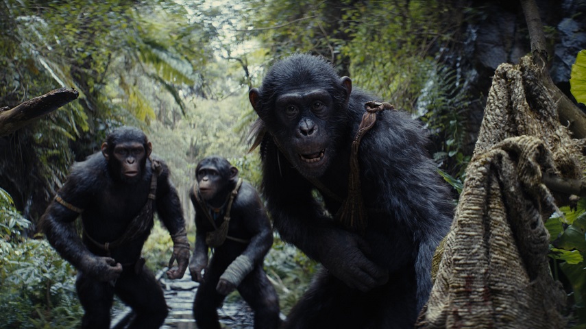 Noa (played by Owen Teague), Soona (played by Lydia Peckham), and Anaya (played by Travis Jeffery) in 20th Century Studios' Kingdom Of The Planet Of The Apes.