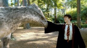 Daniel Radcliffe as Harry Potter strokes a Hippogrif in Harry Potter and The Prisoner of Azkaban