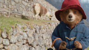 Paddington in Peru