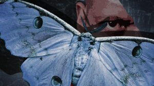 A picture of a moth at the forefront covers a person's face with only an eye and ear visible in the promotional image for The Moth.