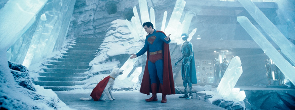 Gala Seniors: David Corenswet stars in Superman
