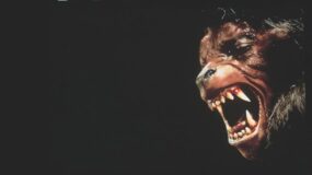 An American Werewolf In London