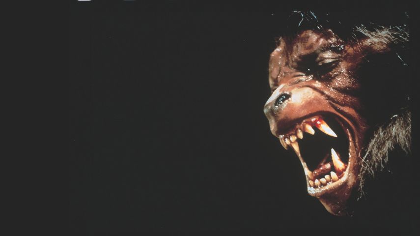 An American Werewolf In London
