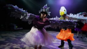 Young people dressed as birds in a photography from Gala Durham's Play In A Week.