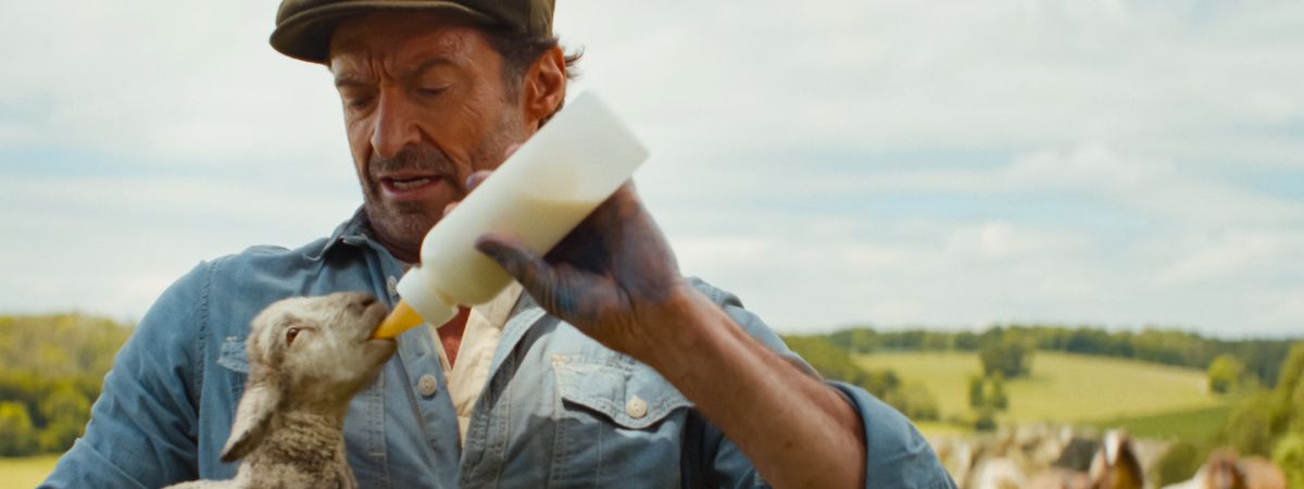 Hugh Jackman in The Sheep Detectives