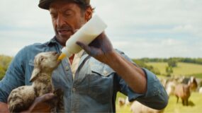 Hugh Jackman in The Sheep Detectives