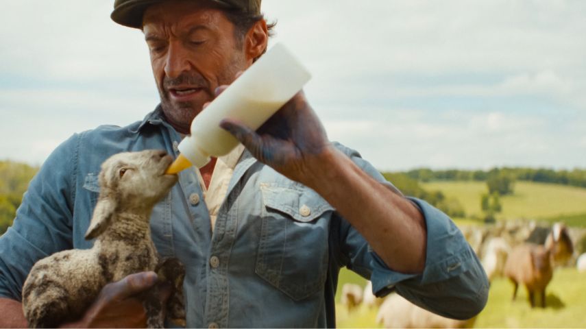 Hugh Jackman in The Sheep Detectives