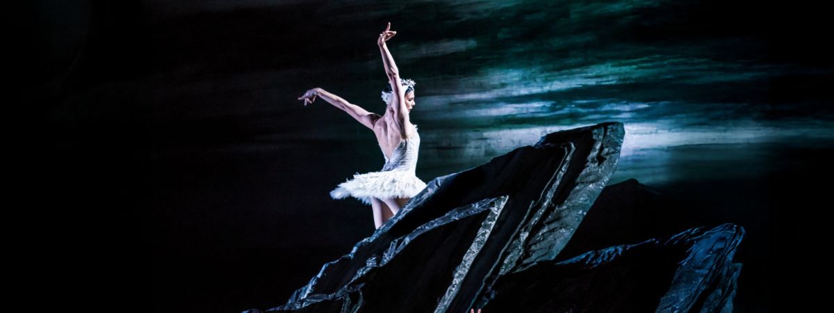 The White Swan stands a top a black rock in a promotional still from Royal Ballet's Swan Lake.