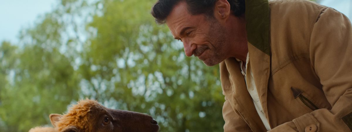 Hugh Jackman in The Sheep Detectives 