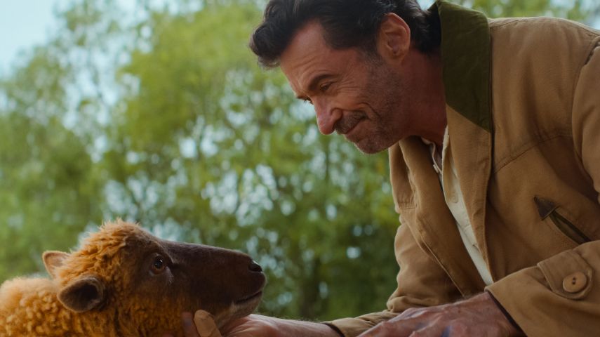 Hugh Jackman in The Sheep Detectives